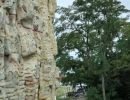 dickdoofdooferm8lsozya